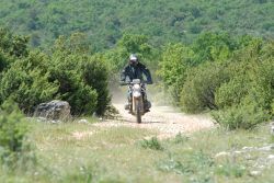 moto11