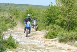 moto19