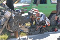 moto24
