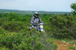 moto03