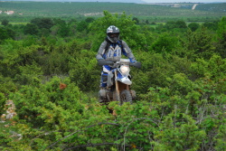 moto33