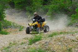 moto49