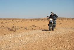 moto29