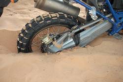 moto31