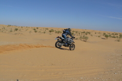 moto40