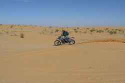 moto41