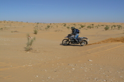 moto43