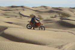 moto48