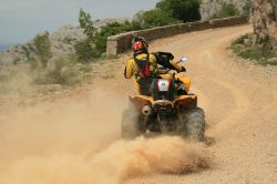 moto40