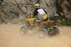 moto41