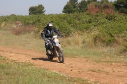 moto43