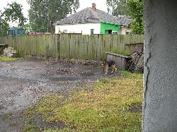 Russland46